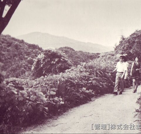 飯盛山観光道路