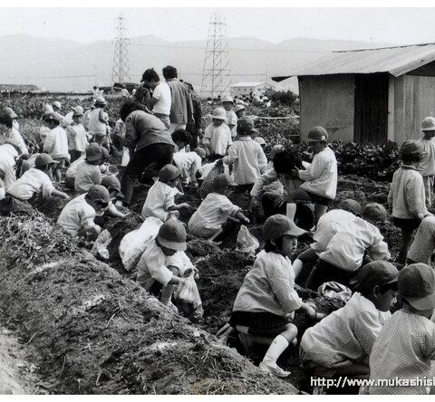S30～40年代の市内学校・教育・子供8